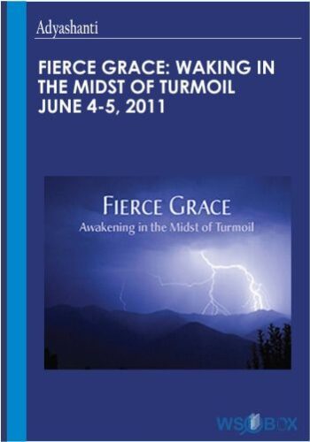 Fierce Grace: Waking In The Midst Of Turmoil June 4-5, 2011 – Adyashanti