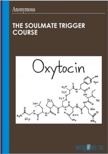 The SOULMATE TRIGGER Course