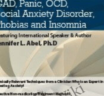 101 Practical Strategies for the Treatment of GAD, Panic, OCD, Social Anxiety Disorder, Phobias and Insomnia - Jennifer L. Abel