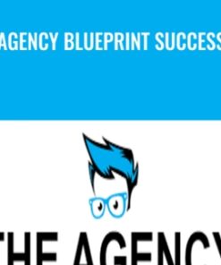 Agency Blueprint Success - Danny Veiga