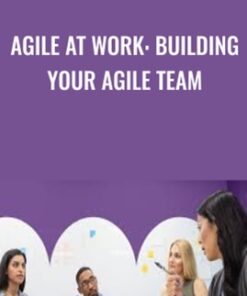 Agile at Work: Building Your Agile Team - Doug Rose