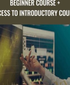 Beginner Course + access to Introductory Course - Alphatrends