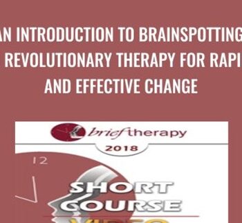 An Introduction to Brainspotting: A Revolutionary Therapy for Rapid and Effective Change - Susan Pinco