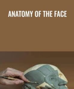 Anatomy of the Face - Melinda Whitmore
