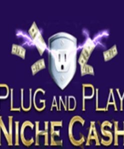 Plug and Play Niche Cash – Andrew Hansen