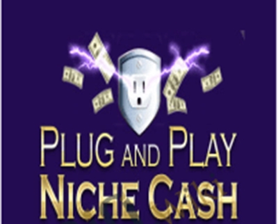 Plug and Play Niche Cash – Andrew Hansen