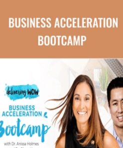 Business Acceleration Bootcamp – Anissa Holmes