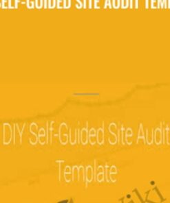 DIY Self-Guided Site Audit Template - Annie Cushing