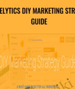 Annielytics DIY Marketing Strategy Guide - Annie Cushing