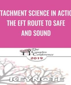 Attachment Science in Action: The EFT Route to Safe and Sound - Sue Johnson