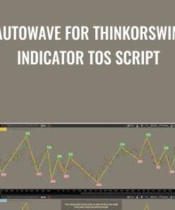 AutoWave for ThinkorSwim Indicator TOS Script