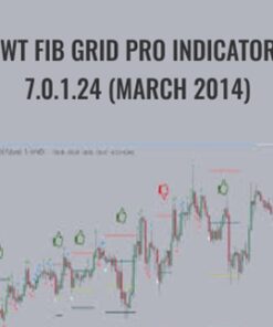 BWT Fib Grid Pro Indicators 7.0.1.24 (March 2014) – BWT