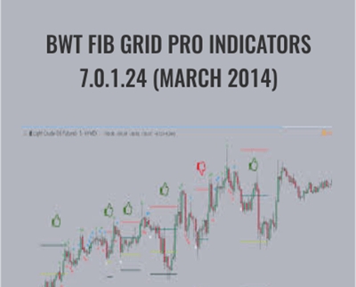 BWT Fib Grid Pro Indicators 7.0.1.24 (March 2014) – BWT