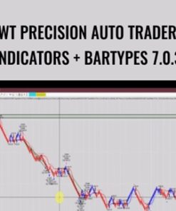 BWT Precision Auto Trader 7 + Indicators + Bartypes 7.0.3.6