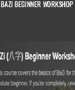 BaZi Beginner Workshop - Sean Chan