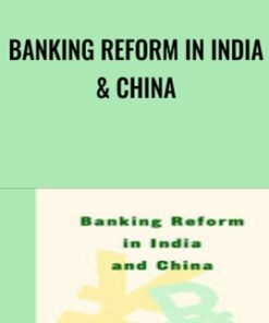 Banking Reform in India & China - Lawrence Saez