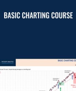Basic Charting Course - Bruce Fraser & Roman Bogomazov