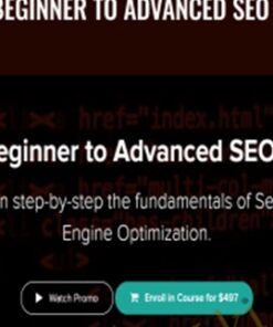 Beginner to Advanced SEO + - Chase Reiner