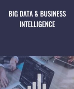 Big Data & Business Intelligence - Michael McDonald