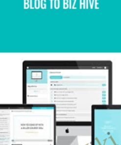 Blog to Biz Hive
