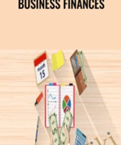 Business finances - Alex Genadinik