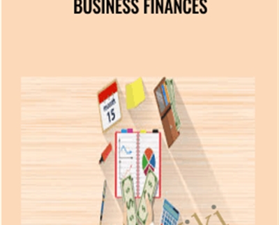 Business finances - Alex Genadinik