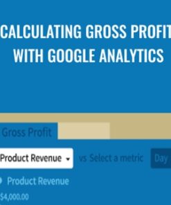 Calculating Gross Profit with Google Analytics - Patrick Rauland