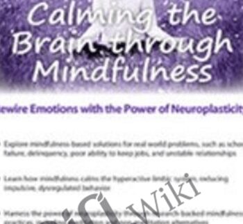 Calming The Brain Through Mindfulness: Rewire Emotions With The Power Of Neuroplasticity – Mark L. Beischel