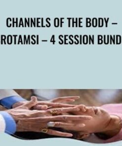 Channels Of The Body – Srotamsi – 4 Session Bundle - Vasant Lad
