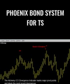 Phoenix Bond System For TS – Charles Lebeau