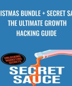 Christmas Bundle + Secret Sauce: The Ultimate Growth Hacking Guide - Vincent Dignan