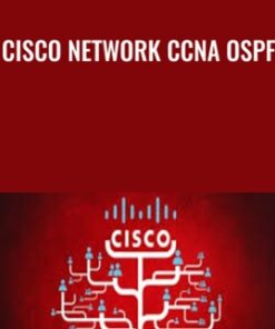 Cisco Network CCNP BGP - Sam Fitzgerald