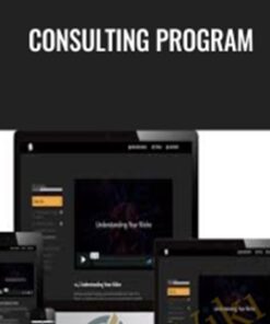 Consulting Program