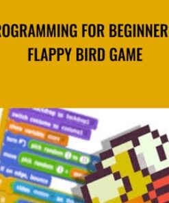 Programming for Beginners - Flappy Bird Game - Craig Blewett
