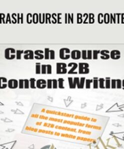 Crash Course in B2B Content