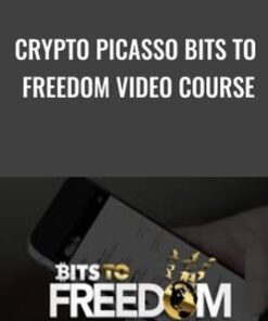 Crypto Picasso Bits To Freedom Video Course