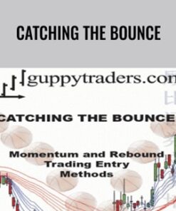 Catching the Bounce - Daryl Guppy