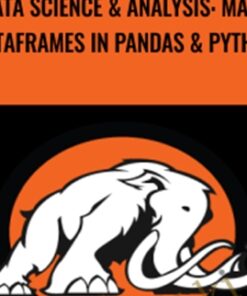 Data Science & Analysis: Make DataFrames in Pandas & Python
