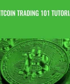Bitcoin Trading 101 TUTORiAL - David Blake