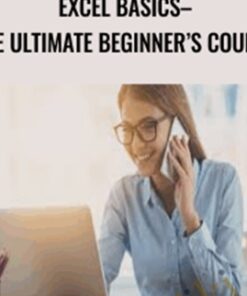 Excel Basics– the Ultimate Beginner’s Course - David Millard