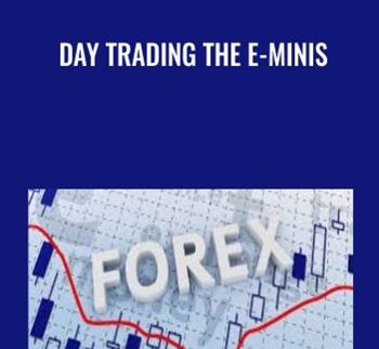 Day Trading The E-Minis - Zap Seminar & David Stendahl