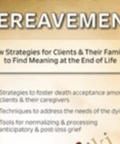 Death, Dying & Bereavement: New Strategies for Clients & Their Families to Find Meaning at the End of Life - Ligia M Houben