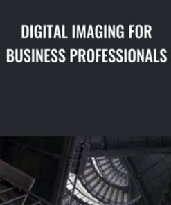 Digital Imaging for Business Professionals - Richard Harrington