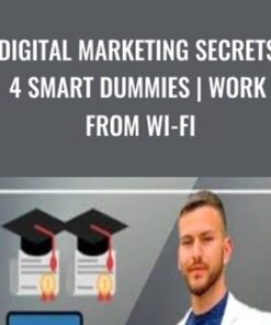 Digital Marketing Secrets 4 Smart Dummies | Work From Wi-Fi - Kris Kay