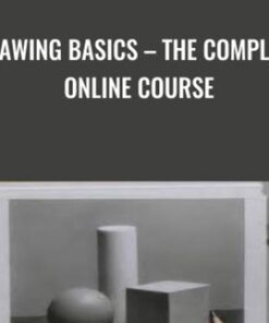 Drawing Basics – The Complete Online Course - David Jamieson