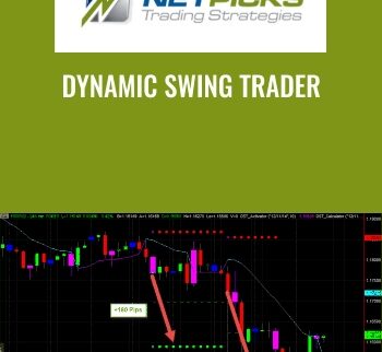 Dynamic Swing Trader - NETPICKS (Unlocked)
