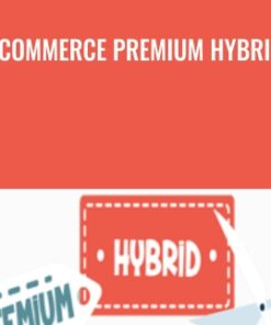 Ecommerce Premium Hybrid - Traffic