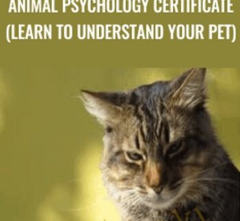 Animal Psychology Certificate (Learn to Understand Your Pet) - Elmira Strange