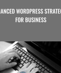 Enhanced WordPress Strategies For Business - Michel Fortin & Michel Fortin