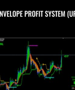 Envelope Profit System (UP)